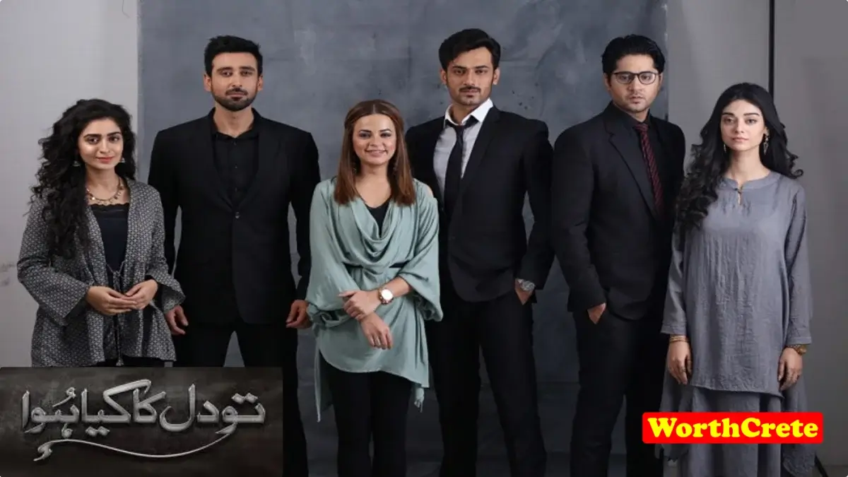 Tou Dil Ka Kia Hua Online Drama Urdu